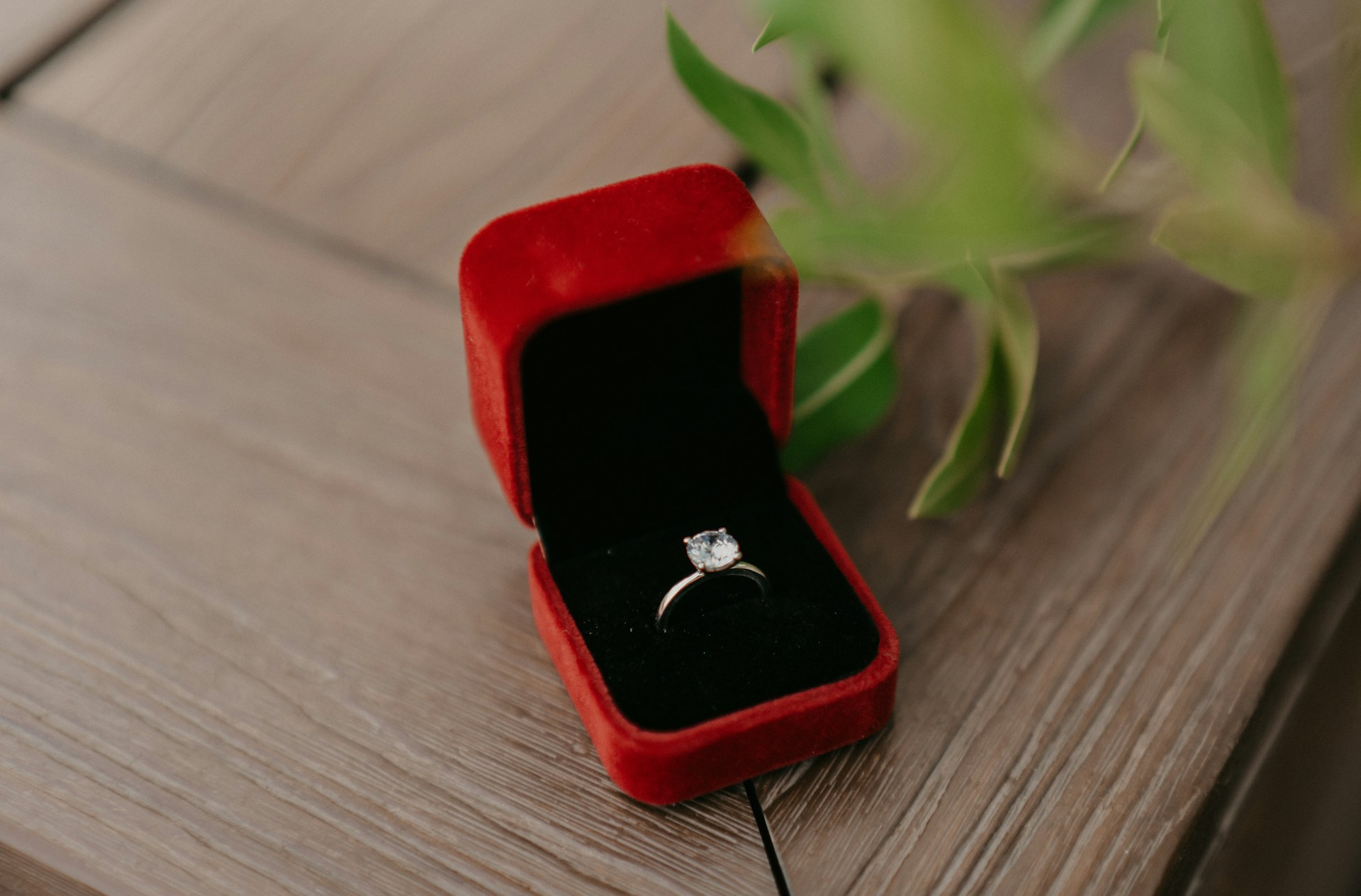 A solitaire engagement ring sitting in a red velvet ring box, the box on top of a wooden table with some greenery.