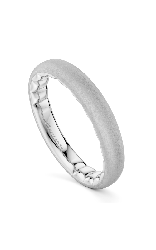 Women's Matte Frosted Wedding Band in 14K White Gold