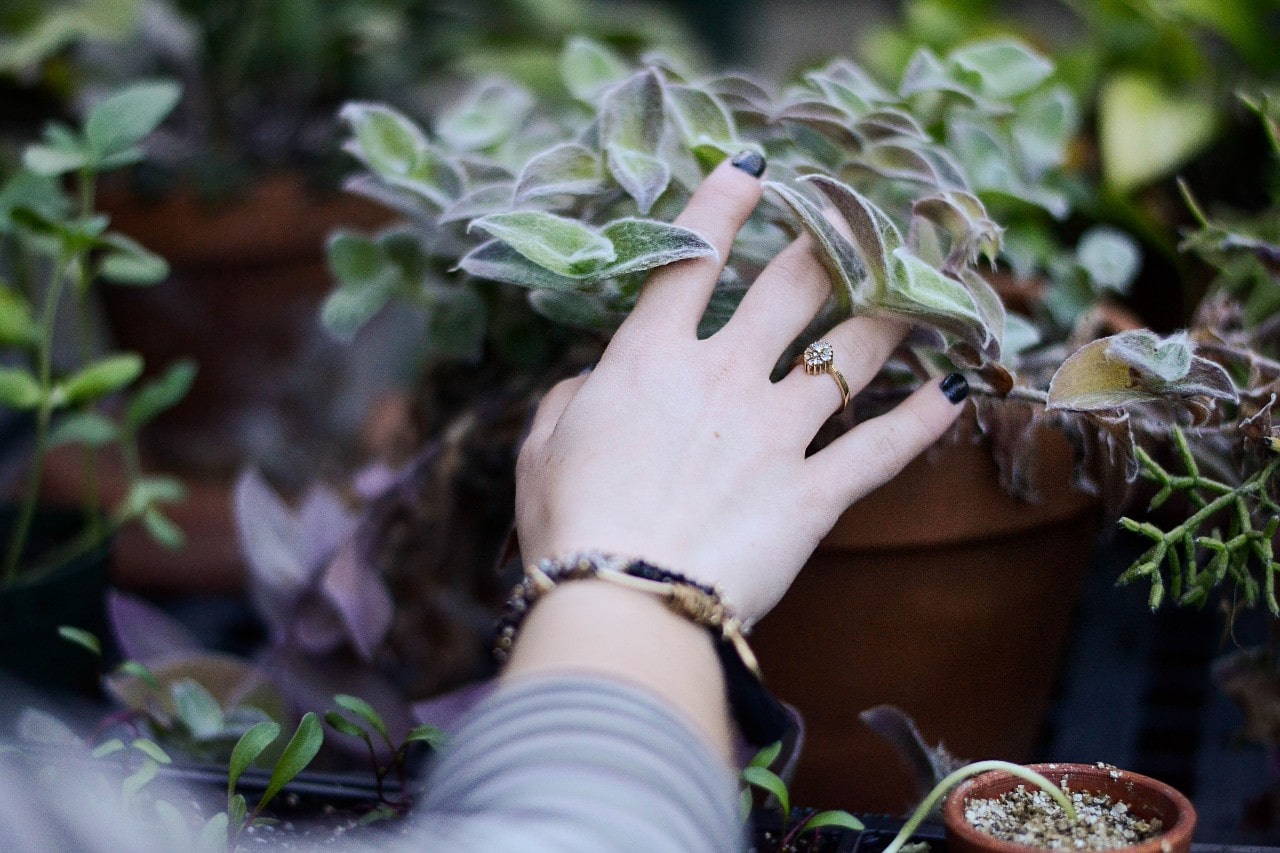 A hand reaching into a plant in a garden, showcasing their beautiful fashion ring and beaded bracelets.