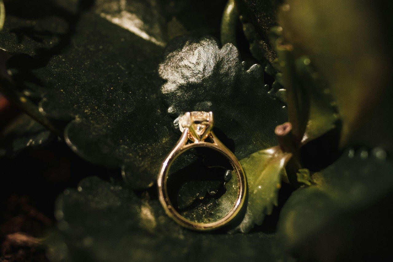 a gold solitaire ring sits among a bundle of leaves.