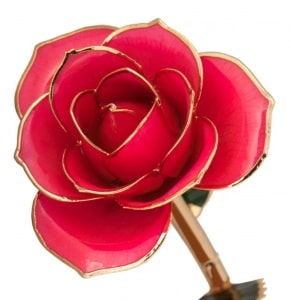 A pink model rose features 24k gold on its edges